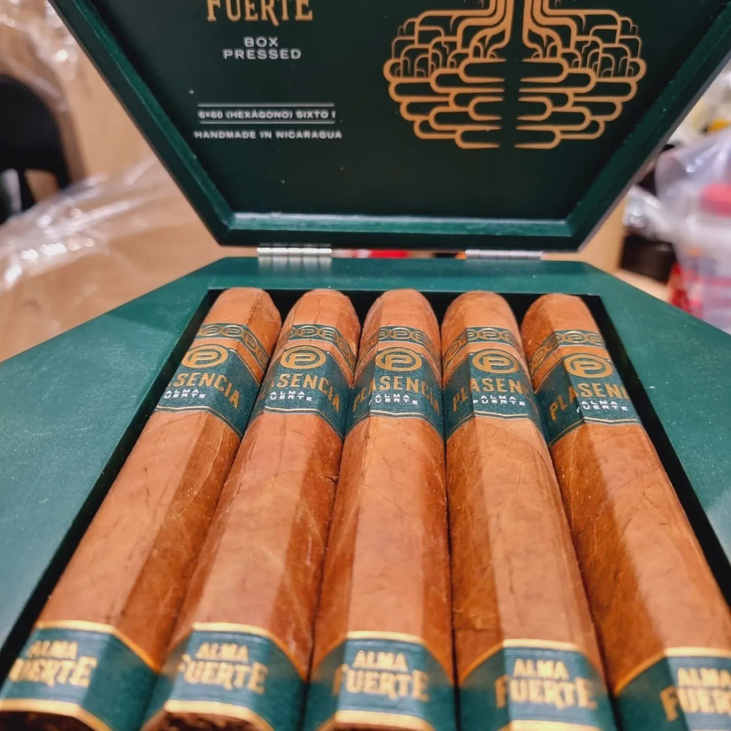 viber image 2025 08 25 21 02 39 958